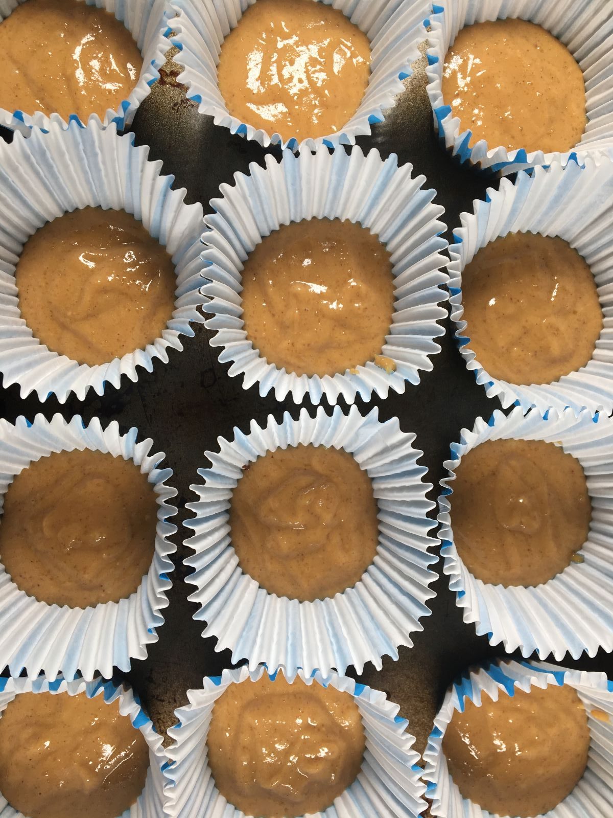 peanut butter cups. www.thesteadycook.com