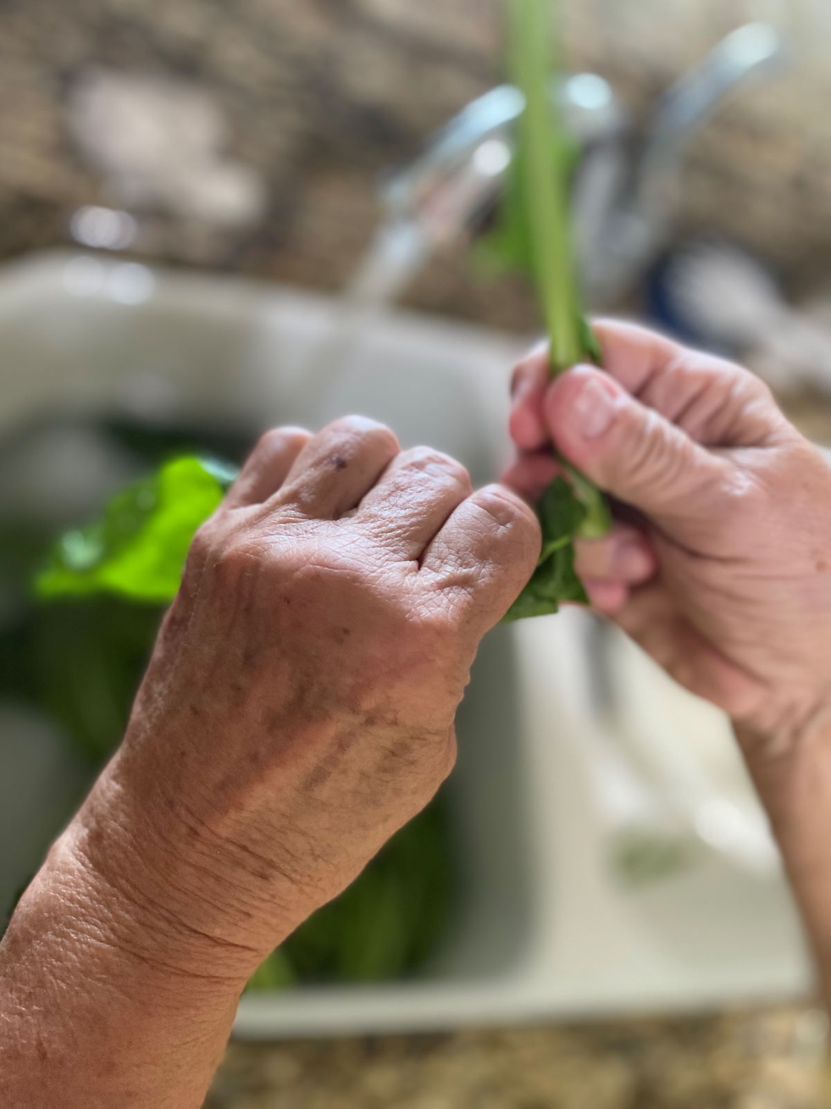 Cleaning Turnip Greens