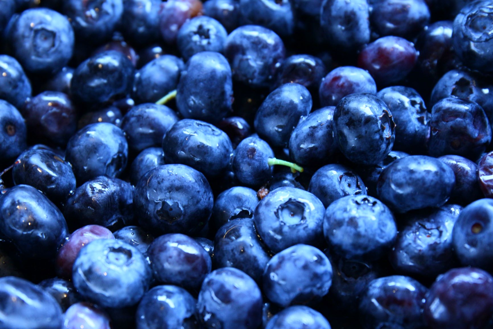 Blueberries