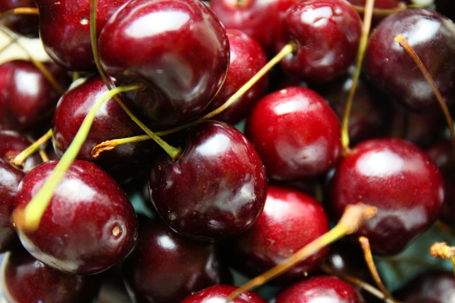 Bing Cherries